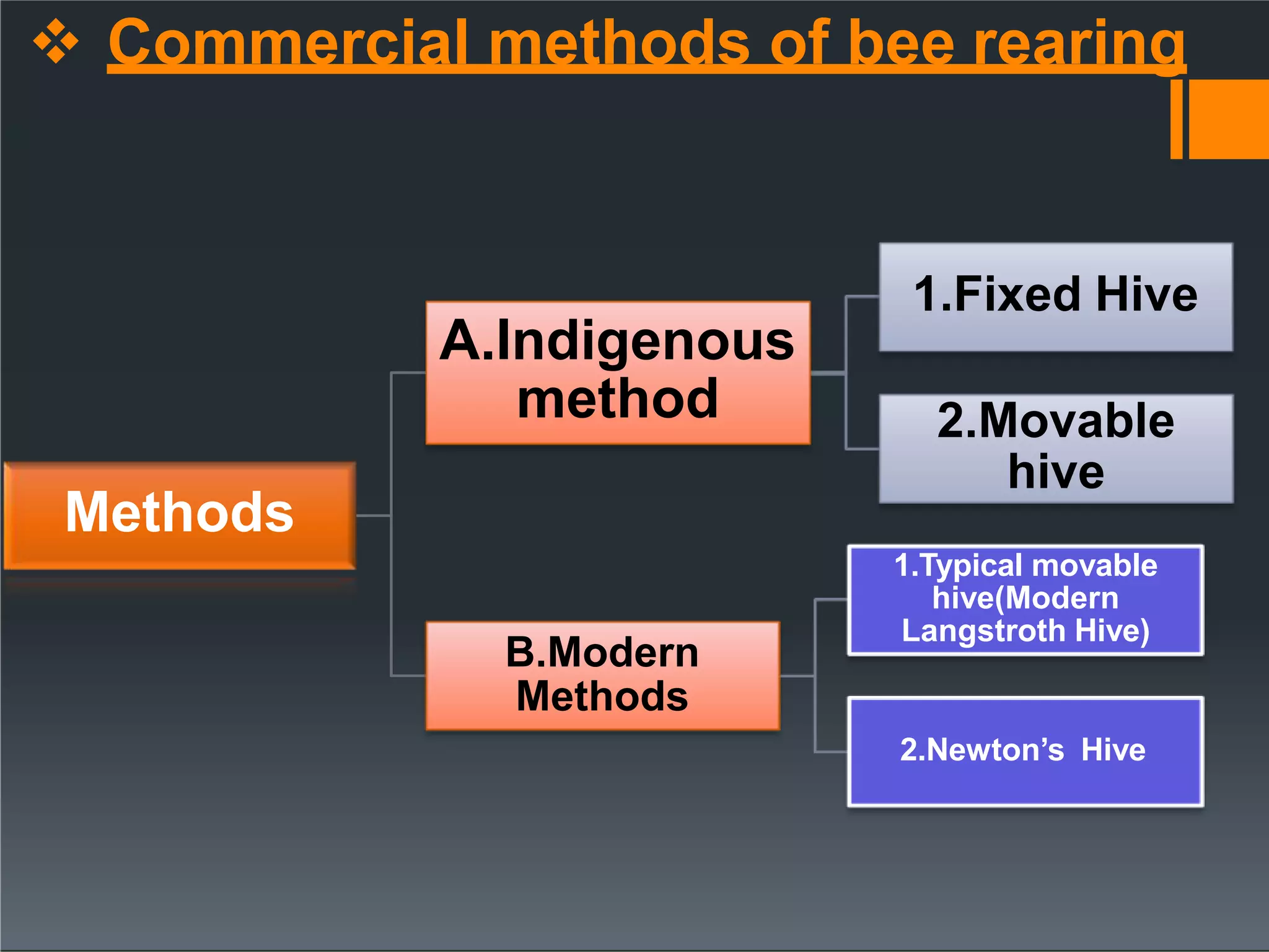 Beekeeping | PPTX