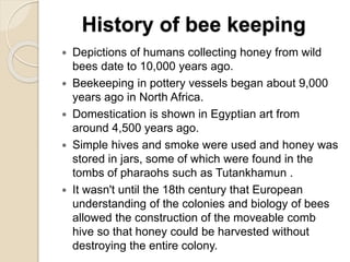 Bees Origin Bee keeping - supporting business to Indian farming | PPTX