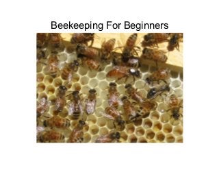 Beekeeping For Beginners
 