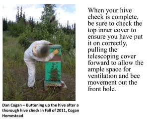 Dan Cogan – Buttoning up the hive after a
thorough hive check in Fall of 2011, Cogan
Homestead
When your hive
check is complete,
be sure to check the
top inner cover to
ensure you have put
it on correctly,
pulling the
telescoping cover
forward to allow the
ample space for
ventilation and bee
movement out the
front hole.
 