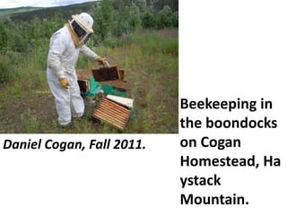Daniel Cogan, Fall 2011.
Beekeeping in
the boondocks
on Cogan
Homestead, Ha
ystack
Mountain.
 
