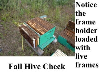 Fall Hive Check
Notice
the
frame
holder
loaded
with
live
frames
 