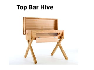Top Bar Hive
 