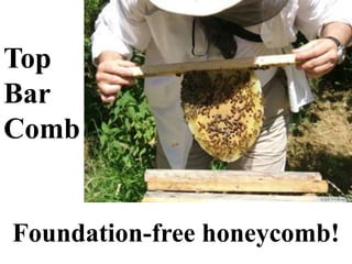 Top
Bar
Comb
Foundation-free honeycomb!
 