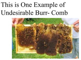 This is One Example of
Undesirable Burr- Comb
 