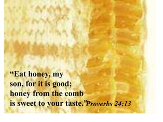 Proverbs 24:13
“Eat honey, my
son, for it is good;
honey from the comb
is sweet to your taste.”
 