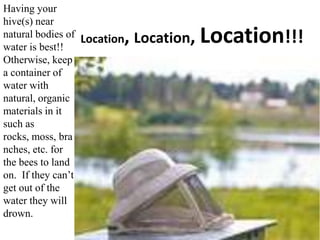 Location, Location, Location!!!
Having your
hive(s) near
natural bodies of
water is best!!
Otherwise, keep
a container of
water with
natural, organic
materials in it
such as
rocks, moss, bra
nches, etc. for
the bees to land
on. If they can’t
get out of the
water they will
drown.
 
