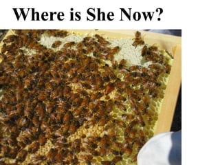 Where is She Now?
 