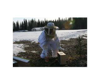 Beekeeping 201 (2)