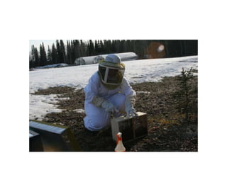 Beekeeping 201 (2)
