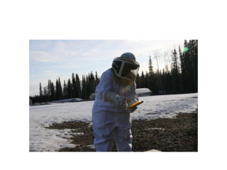 Beekeeping 201 (2)