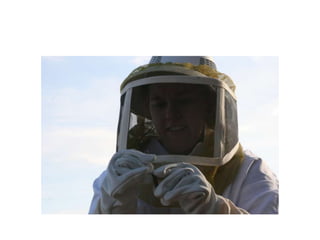 Beekeeping 201 (2)