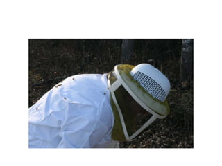 Beekeeping 201 (2)