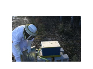 Beekeeping 201 (2)