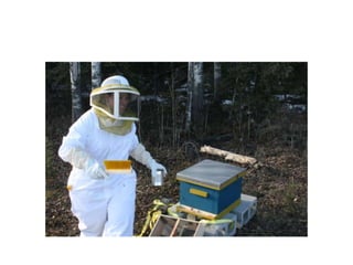 Beekeeping 201 (2)