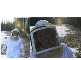 Beekeeping 201 (2)