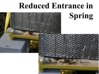 Reduced Entrance in
Spring
 