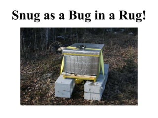 Snug as a Bug in a Rug!
 