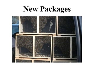New Packages
 