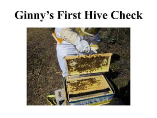 Ginny’s First Hive Check
 