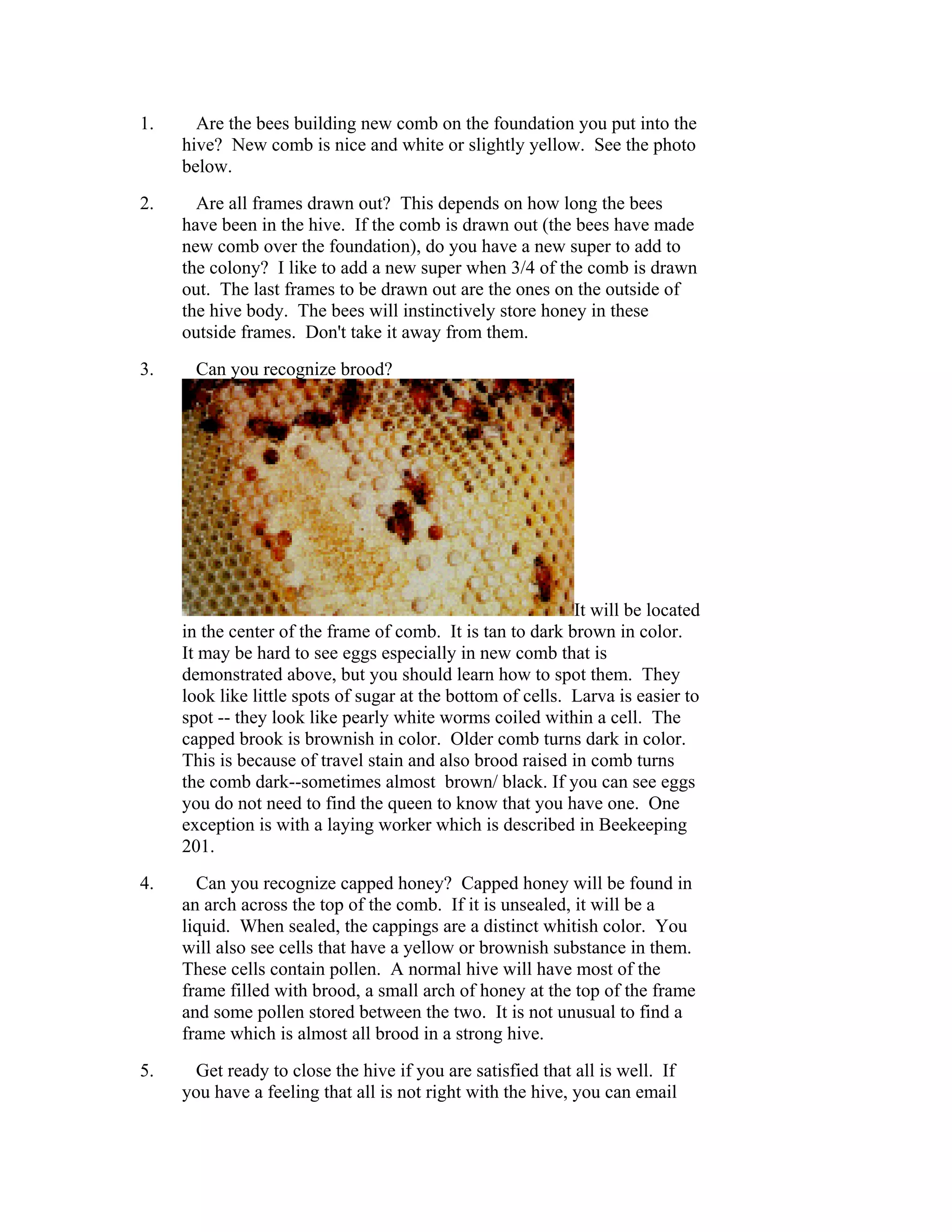 1. Are the bees building new comb on the foundation you put into the
hive? New comb is nice and white or slightly yellow. See the photo
below.
2. Are all frames drawn out? This depends on how long the bees
have been in the hive. If the comb is drawn out (the bees have made
new comb over the foundation), do you have a new super to add to
the colony? I like to add a new super when 3/4 of the comb is drawn
out. The last frames to be drawn out are the ones on the outside of
the hive body. The bees will instinctively store honey in these
outside frames. Don't take it away from them.
3. Can you recognize brood?
It will be located
in the center of the frame of comb. It is tan to dark brown in color.
It may be hard to see eggs especially in new comb that is
demonstrated above, but you should learn how to spot them. They
look like little spots of sugar at the bottom of cells. Larva is easier to
spot -- they look like pearly white worms coiled within a cell. The
capped brook is brownish in color. Older comb turns dark in color.
This is because of travel stain and also brood raised in comb turns
the comb dark--sometimes almost brown/ black. If you can see eggs
you do not need to find the queen to know that you have one. One
exception is with a laying worker which is described in Beekeeping
201.
4. Can you recognize capped honey? Capped honey will be found in
an arch across the top of the comb. If it is unsealed, it will be a
liquid. When sealed, the cappings are a distinct whitish color. You
will also see cells that have a yellow or brownish substance in them.
These cells contain pollen. A normal hive will have most of the
frame filled with brood, a small arch of honey at the top of the frame
and some pollen stored between the two. It is not unusual to find a
frame which is almost all brood in a strong hive.
5. Get ready to close the hive if you are satisfied that all is well. If
you have a feeling that all is not right with the hive, you can email
 