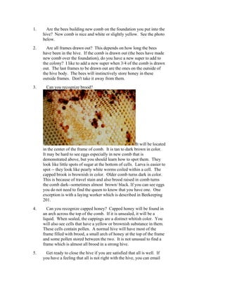 1. Are the bees building new comb on the foundation you put into the
hive? New comb is nice and white or slightly yellow. See the photo
below.
2. Are all frames drawn out? This depends on how long the bees
have been in the hive. If the comb is drawn out (the bees have made
new comb over the foundation), do you have a new super to add to
the colony? I like to add a new super when 3/4 of the comb is drawn
out. The last frames to be drawn out are the ones on the outside of
the hive body. The bees will instinctively store honey in these
outside frames. Don't take it away from them.
3. Can you recognize brood?
It will be located
in the center of the frame of comb. It is tan to dark brown in color.
It may be hard to see eggs especially in new comb that is
demonstrated above, but you should learn how to spot them. They
look like little spots of sugar at the bottom of cells. Larva is easier to
spot -- they look like pearly white worms coiled within a cell. The
capped brook is brownish in color. Older comb turns dark in color.
This is because of travel stain and also brood raised in comb turns
the comb dark--sometimes almost brown/ black. If you can see eggs
you do not need to find the queen to know that you have one. One
exception is with a laying worker which is described in Beekeeping
201.
4. Can you recognize capped honey? Capped honey will be found in
an arch across the top of the comb. If it is unsealed, it will be a
liquid. When sealed, the cappings are a distinct whitish color. You
will also see cells that have a yellow or brownish substance in them.
These cells contain pollen. A normal hive will have most of the
frame filled with brood, a small arch of honey at the top of the frame
and some pollen stored between the two. It is not unusual to find a
frame which is almost all brood in a strong hive.
5. Get ready to close the hive if you are satisfied that all is well. If
you have a feeling that all is not right with the hive, you can email
 