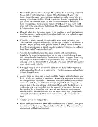 • Check the hive for any mouse damage. Mice get into the hives during winter and
build a nest in the lower corner of frames. If this has happened, remove the
frames that are damaged -- remove the nest and check to make sure no mice are
running around inside the hive. Check to see where the mice are getting in. Later
you will not have to worry about the mice because the bees will take care of
them. You can reuse these damaged frames but the bees will most likely build
drone cells in the area eaten out by the mice. One advantage of plastic foundation
is that mice do not chew it out.
• Clean all debris from the bottom board. It is a good idea to set all hive bodies on
top of the top cover and scrape the bottom board with your hive tool and then put
everything back together.
• If this hive is weak, you might consider buying a two pound package of bees.
You can kill the old queen and introduce the package to the rest of the bees still in
the hive. As you get more hives, you will be able to borrow frames of bees and
brood from your strongest hives and make the weaker hive stronger. In beekeeper
terms this is called "equalizing the brood".
• You will also want to treat your hive again for mites with chemical strips.
Hopefully, the practice of putting chemicals in a hive to save the bees will soon
end with the introduction of queens that are mite resistant. It appears that we may
be getting stock that can hold its own against varroa mite. We have already
achieved it with the tracheal mite. If you need a new queen, certainly consider the
mite resistant stock available.
• Get supers ready to put on the bees but if they are not flying and the weather is
cold, wait until the bees begin to gather nectar. The bees can conserve heat better
without the added super.
• Another thing you might want to check would be: Are any critters brothering your
bees. Skunks are a problem in some areas. Bears can be a problem (You will see
the damage without any trouble). Skunks eat honey bees and once they discover
a meal to be had, they will be back every night. Signs of skunk damage: the
grass in front of the hive entrance will be matted down and if the skunk has been
working the hive over a period of time, the grass will be worn away showing a
bare patch of dirt in front of the hive. You will also find scratch marks on the
front of the hive. Skunks disturb the hive and when a honey bees comes out the
entrance to check to see what has caused that disturbance, the skunk will have a
meal.
• You may have to re-level your hive.
• Check for hive maintenance. Does it hive need a new coat of paint? Clean grass
from in front of the fly way. Be proud of your hive/hives. If you maintain your
equipment, it will last for a long time.
 