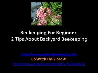Beekeeping For Beginner: 2 Tips About Backyard Beekeeping http://www.guidetobeekeeping.info Go Watch The Video At: http://www.youtube.com/watch?v=fSv1SlAxCAY 