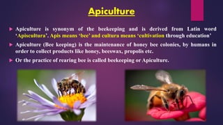 Comprehensive Overview of Beekeeping: History, Species, and Management ...