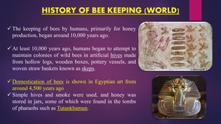 Bees Origin Comprehensive Overview of Beekeeping: History, Species, and Management ...