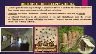 Bees Origin Comprehensive Overview of Beekeeping: History, Species, and Management ...