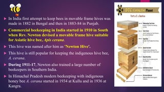 Bees Origin Comprehensive Overview of Beekeeping: History, Species, and Management ...