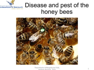 Disease and pest of the
honey bees
Theoretische Anfängerkurse FUAL
Andreas Reichart 2016
1
 