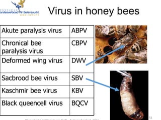Virus in honey bees
Akute paralysis virus ABPV
Chronical bee
paralysis virus
CBPV
Deformed wing virus DWV
Sacbrood bee vir...