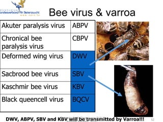 Beekeeping theory   disease and pests of honey bee