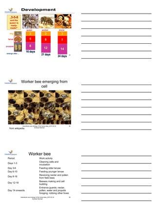 Beekeeping theory course - bee biology - 2015 11 16 | PDF