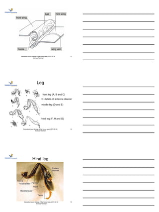 Beekeeping theory course - bee biology - 2015 11 16 | PDF