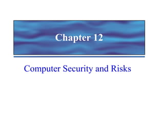 Chapter 12 Computer Security and Risks 