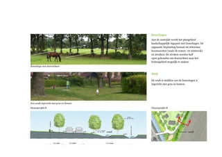 Bosschages
Aan de oostzijde wordt het plangebied
landschappelijk ingepast met bosschages. De
opgaande beplanting bestaat uit inheemse
boomsoorten (zoals de zomer- en wintereik)
en struiken. De stroken worden half
open gehouden om doorzichten naar het
buitengebied mogelijk te maken.
wadi
De wadi te midden van de bosschages is
ingericht met gras en bomen.
Een wadi ingericht met gras en bomen
Bosschage met doorzichten
Dwarsproﬁel B Dwarsproﬁel B
wadi wadi
 