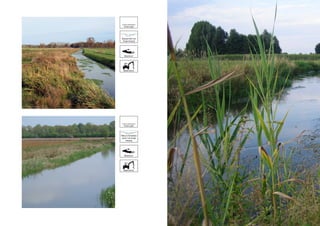 Beeldkwaliteitplan De kleine Hagen, Laag Zuthem