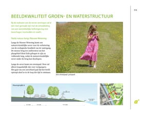 P/9
Natte natuur langs Nieuwe wetering
Langs de Nieuwe Wetering komt een
natuurvriendelijke oever voor de verbetering
van de ecologische kwaliteit van de watergang.
De nieuwe brug ten zuidwesten van het
plangebied dient licht gebogen te zijn en
voldoende lang, zodat de natuurvriendelijke
oever onder de brug kan doorlopen.
Langs de oever komt een struinpad. Deze zal
alleen toegankelijk zijn voor voetgangers.
Het gaat om een onverhard pad dat het beeld
oproept alsof ze in de loop der tijd is ontstaan.
BEELDKwALITEIT gROEN- EN wATERSTRuCTuuR
Een struinpad/ graspad
Bij de realisatie van de eerste woningen zal al
een start gemaakt zijn met de ontwikkeling
van een aantrekkelijke leefomgeving met
bosschages, houtwallen en wadi’s.
Dwarsproﬁel ADwarsproﬁel A
struinpad
 
