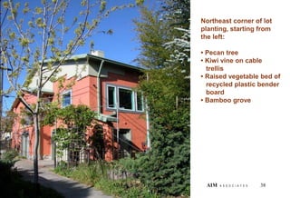 Northeast corner of lot
planting, starting from
the left:
• Pecan tree
• Kiwi vine on cable
trellis
• Raised vegetable bed of
recycled plastic bender
board
• Bamboo grove
38
AIM A S S O C I A T E S AIM A S S O C I A T E S
 