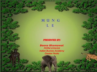 MUNGLE PRESENTED BY: Beena Bhamawat PGPM 0709/031 Indian Business Academy Greater Noida 