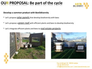 Develop a common product with BeeOdiversity
• Let’s propose solar panels that develop biodiversity with bees
• Let’s propose a green roof with efficient plants and bees to develop biodiversity
• Let’s integrate efficient plants and bees to real estate projects
 