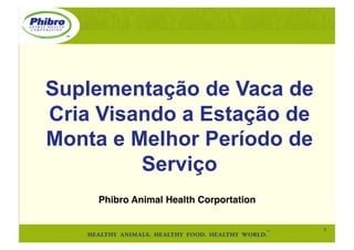 1!
Phibro Animal Health Corportation!
Suplementação de Vaca de
Cria Visando a Estação de
Monta e Melhor Período de
Serviço
 