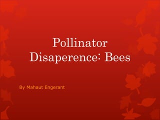 Pollinator Disaperence: Bees By Mahaut Engerant  