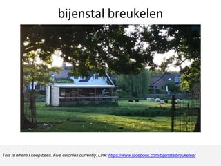bijenstal breukelen
This is where I keep bees. Five colonies currently. Link: https://www.facebook.com/bijenstalbreukelen/
 
