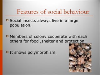 Features of social behaviour
 Social insects always live in a large
population.
 Members of colony cooperate with each
others for food ,shelter and protection.
 It shows polymorphism.
 