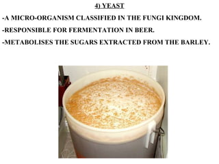 4) YEAST -A MICRO-ORGANISM CLASSIFIED IN THE FUNGI KINGDOM. -RESPONSIBLE FOR FERMENTATION IN BEER. -METABOLISES THE SUGARS EXTRACTED FROM THE BARLEY. 