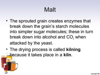 Malt
• The sprouted grain creates enzymes that
break down the grain’s starch molecules
into simpler sugar molecules; these in turn
break down into alcohol and CO2 when
attacked by the yeast.
• The drying process is called kilning
because it takes place in a kiln.
 